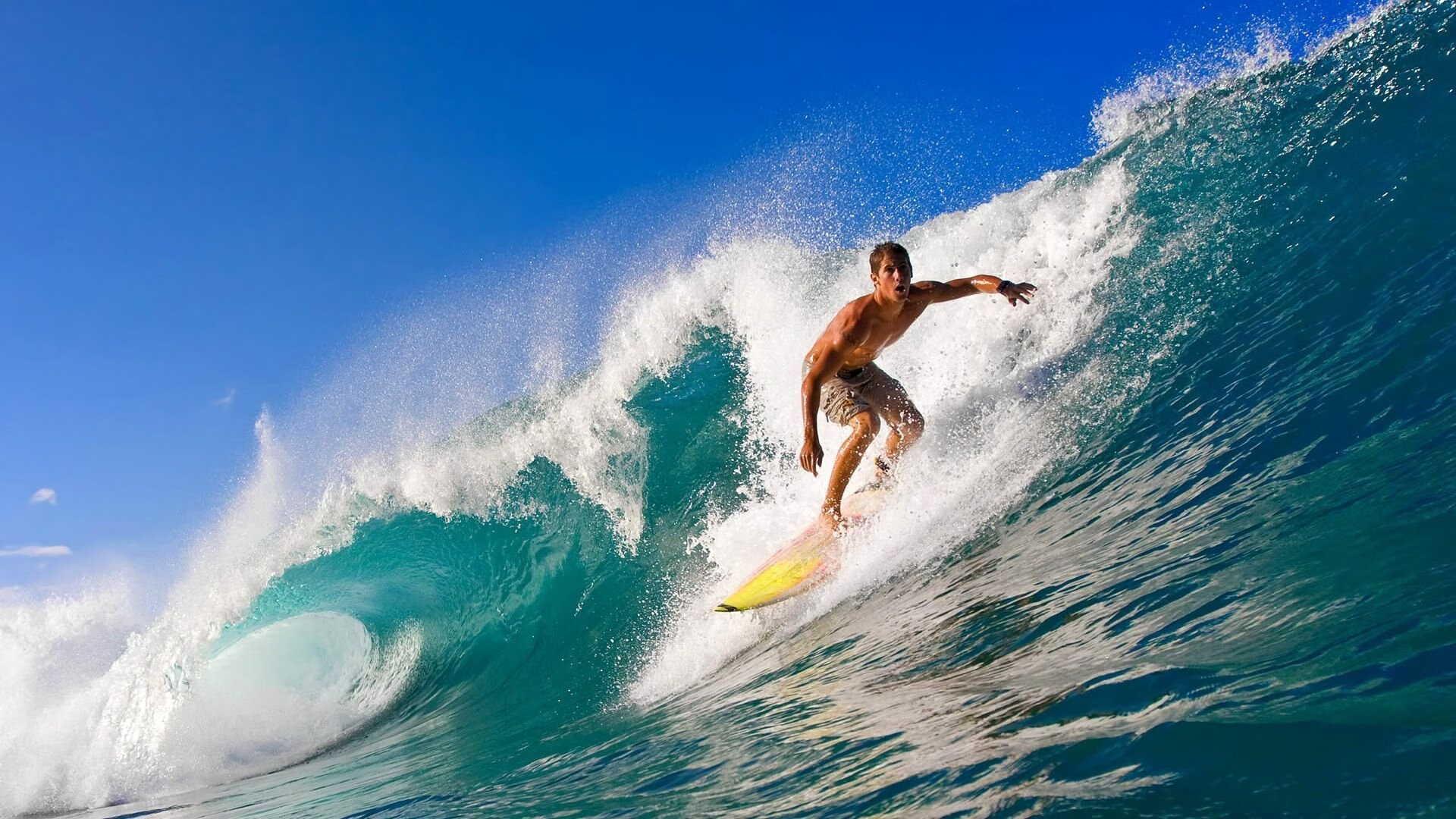 伊朗男篮在亚洲锦标赛中夺冠，展现非凡实力